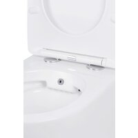 Roxen Antares Bidet в комплекте с инсталляцией StounFix Dual Fresh 6 в 1 968457 (кнопка: брашированное золото) Image #5