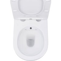 Roxen Antares Bidet в комплекте с инсталляцией StounFix Dual Fresh 6 в 1 968457 (кнопка: брашированное золото) Image #6