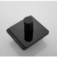 Rose R105H Image #16