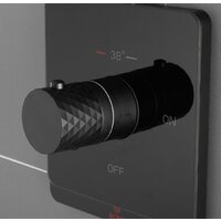 Rose R105H Image #19