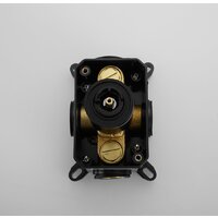 Rose R105H Image #14