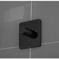 Rose R105H Image #12