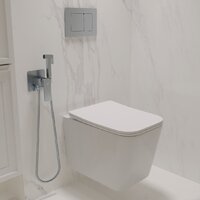 Oliveeka OL-MQ-003 + OL-5014 + OL-E12-CR (хром) Image #2