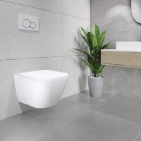 Lauter Nuremberg 21811 + 21901001 (белый, с кнопкой смыва 219702J белый) Image #17