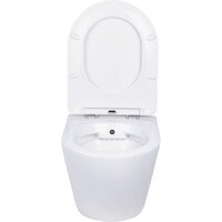 Roxen Antares Bidet в комплекте с инсталляцией StounFix Dual Fresh 6 в 1 968424 (кнопка: сатин) Image #4