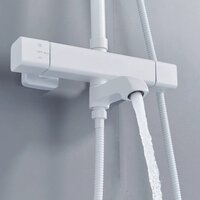 Shevanik S3096C Image #12