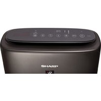 Sharp KIN-41RH Image #4