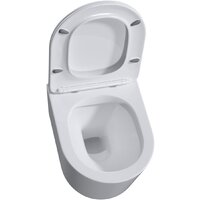 Roxen Simple compact в комплекте с инсталляцией StounFix Dual Fresh 6 в 1 968480 (кнопка: брашированное золото) Image #7