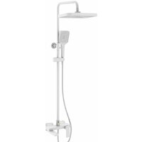 Rose R1836C