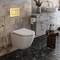 Roxen Antares Gold в комплекте с инсталляцией StounFix Dual Fresh 6 в 1 968460 (кнопка: брашированное золото) Image #2
