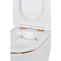 Roxen Antares Gold в комплекте с инсталляцией StounFix Dual Fresh 6 в 1 968460 (кнопка: брашированное золото) Image #10