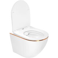 Roxen Antares Gold в комплекте с инсталляцией StounFix Dual Fresh 6 в 1 968460 (кнопка: брашированное золото) Image #9