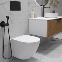 Oliveeka OL-MQ-003 + OL-6016 + OL-R22-MB (черный матовый) Image #4