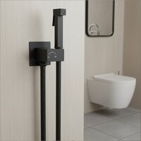 Lauter W224 2110224 + гигиенический душ Rainix 21LT7712BM (горизонтальный выпуск) Image #27