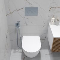 Oliveeka OL-MQ-003 + OL-6016 + OL-R22-CR (хром) Image #3