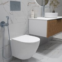 Oliveeka OL-MQ-003 + OL-6016 + OL-R22-CR (хром) Image #4