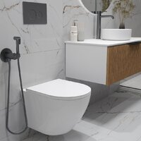 Oliveeka OL-MQ-003 + OL-6016 + OL-R22-BGM (матовый оружейный металл) Image #4