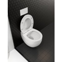 Roxen Egg в комплекте с инсталляцией StounFix Dual Fresh 6 в 1 968031 (кнопка: золото глянцевое ) Image #10