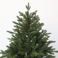 GrandSiti Виола 1.8 м 101-423 Image #2