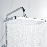 Shevanik S6136 Image #19