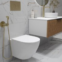 Oliveeka OL-MQ-003 + OL-6016 + OL-R22-BG (матовое золото) Image #2