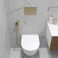 Oliveeka OL-MQ-003 + OL-6016 + OL-R22-BG (матовое золото) Image #3