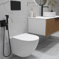 Oliveeka OL-MQ-003 + OL-6016 + OL-E12-MB (черный матовый) Image #8