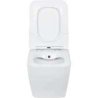 Roxen Cube bidet в комплекте с инсталляцией StounFix Dual Fresh 6 в 1 968095 (кнопка: брашированное золото) Image #5