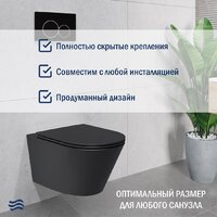 Lauter Longer 2110822B + 21901001 (кнопка 219703E, сатин) Image #5