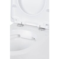 Roxen Antares в комплекте с инсталляцией StounFix Dual Fresh 6 в 1 968454 (кнопка: брашированное золото) Image #8