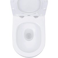 Roxen Antares в комплекте с инсталляцией StounFix Dual Fresh 6 в 1 968451 (кнопка: брашированное золото) Image #9