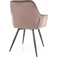 Signal Cherry Velvet Bluvel 38 (капучино/черный) Image #2