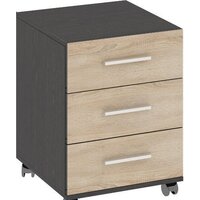 Трия Успех-2 ПМ-184.12 (венге цаво/дуб сонома)