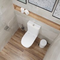 Lauter W246 2110246 + гигиенический душ Sano 21LT1292BM (горизонтальный выпуск) Image #18