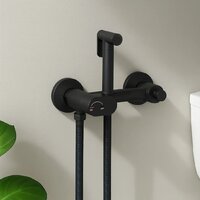 Lauter W246 2110246 + гигиенический душ Sano 21LT1292BM (горизонтальный выпуск) Image #25