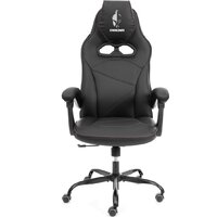 TetChair Arena metalBL (кож/зам, черный/черный карбон, 36-6/карбон черный) Image #2