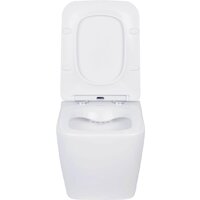 Roxen Cube в комплекте с инсталляцией StounFix Dual Fresh 6 в 1 968469 (кнопка: брашированное золото) Image #9