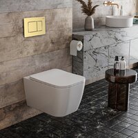 Roxen Cube в комплекте с инсталляцией StounFix Dual Fresh 6 в 1 968469 (кнопка: брашированное золото) Image #2