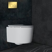 Roxen Simple compact в комплекте с инсталляцией StounFix Dual Fresh 6 в 1 968026 (кнопка: золото глянцевое ) Image #8