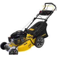 Champion LM5347 Image #3