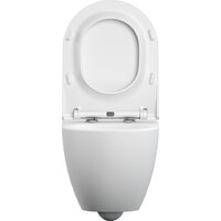 Cersanit Brasko Slim 64824 + Aqua Prime М 50 68179 с кнопкой Twins 63523 (кнопка хром глянцевый) Image #30