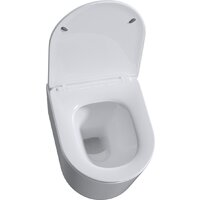 Roxen Simple compact в комплекте с инсталляцией StounFix Dual Fresh 6 в 1 968084 (кнопка: брашированное золото) Image #6