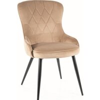 Signal Lotus Velvet (bluvel 28 бежевый/черный)