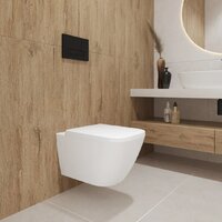 Lauter Nuremberg 21811 + 21901001 (белый, с кнопкой смыва 219702F белый) Image #26