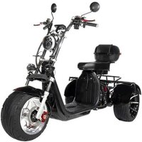 Terax City Trike X2