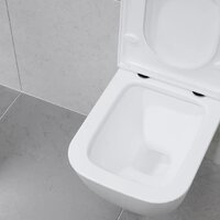 Lauter Nuremberg 21811 + 21901001 (белый, с кнопкой смыва 219702E белый) Image #29