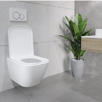 Lauter Nuremberg 21811 + 21901001 (белый, с кнопкой смыва 219702E белый) Image #16