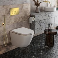 Roxen Antares Gold в комплекте с инсталляцией StounFix Dual Fresh 6 в 1 968092 (кнопка: золото глянцевое ) Image #9