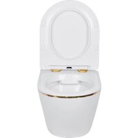 Roxen Antares Gold 968096 в комплекте с инсталляцией StounFix Dual Fresh 6 в 1 968096 (кнопка: брашированное золото) Image #7