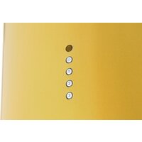 Akpo Balmera ll WK-10 (золото) Image #4